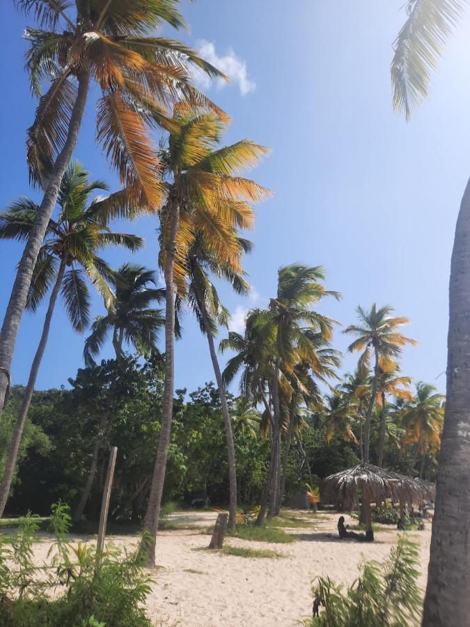 Virgin Islands Campground Water Island Extérieur photo